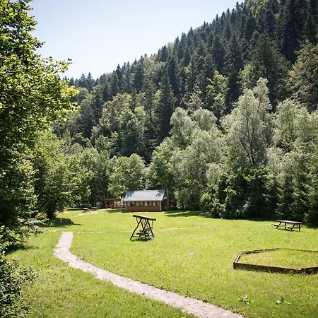 Barlogul Ursului Resort *